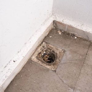 Débouchage de sterput